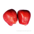 red apple huaniu apple price red apple